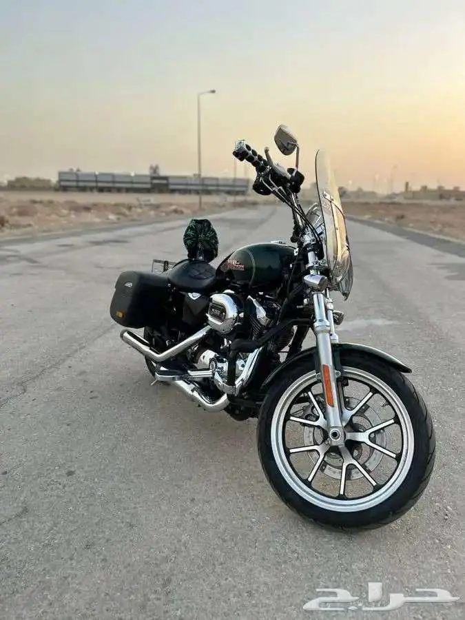 هارلي سبوستر 1200XL super low 8
