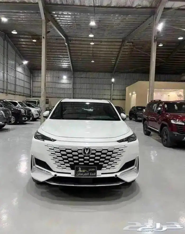 شانجان يوني كي 2023 0