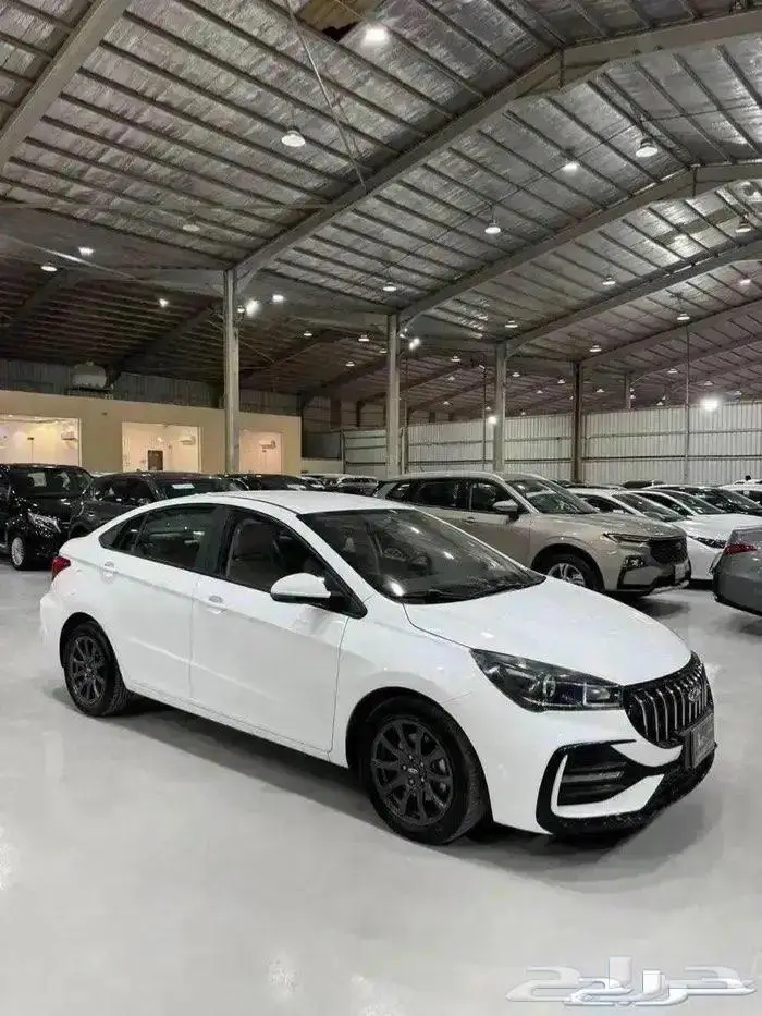 شيري اريزو 5 2024 1