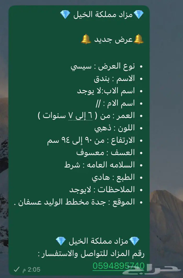 خيل 1