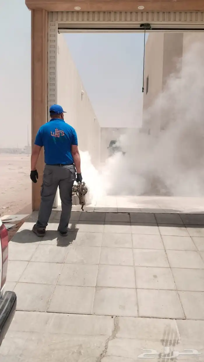 مكافحة حشرات ونظافة عامة 7