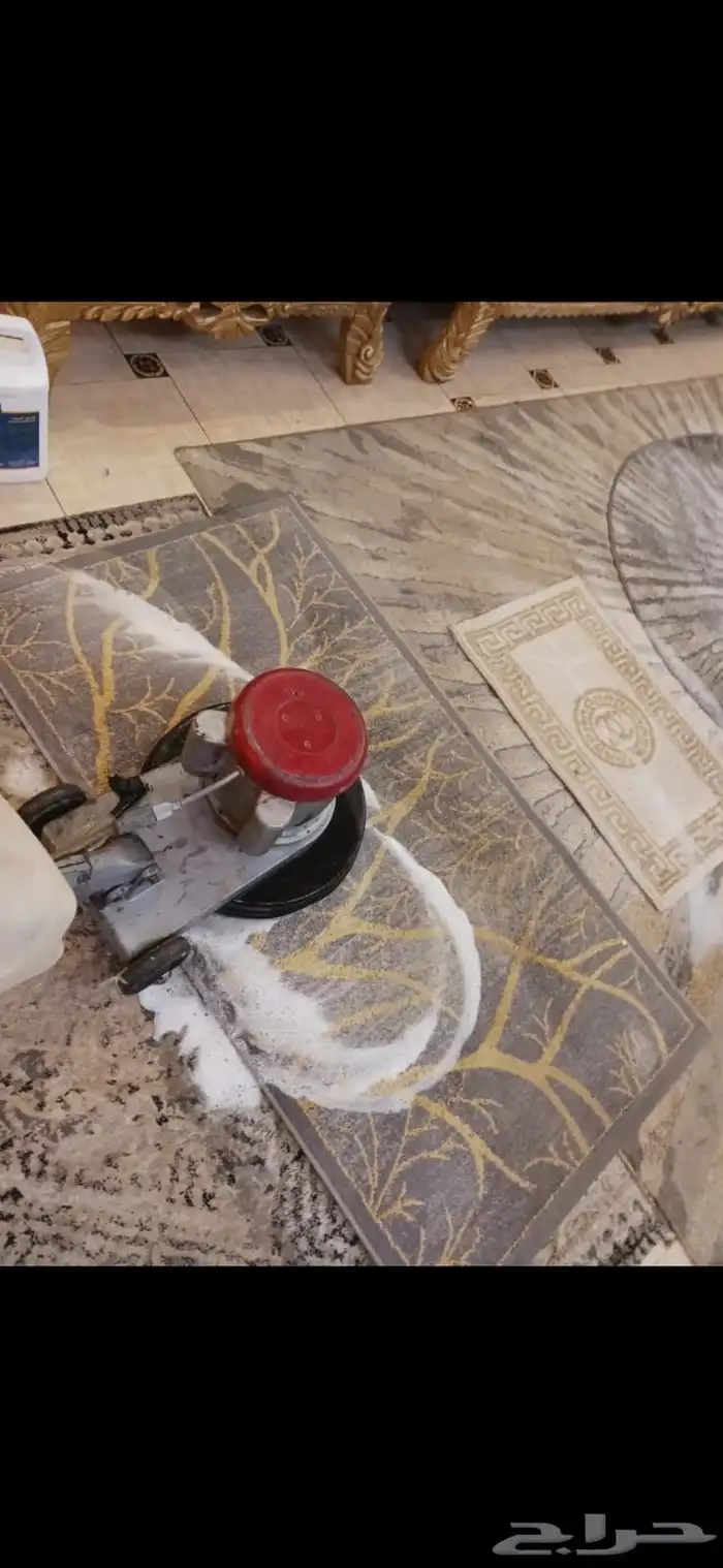 مكافحة حشرات ونظافة عامة 9