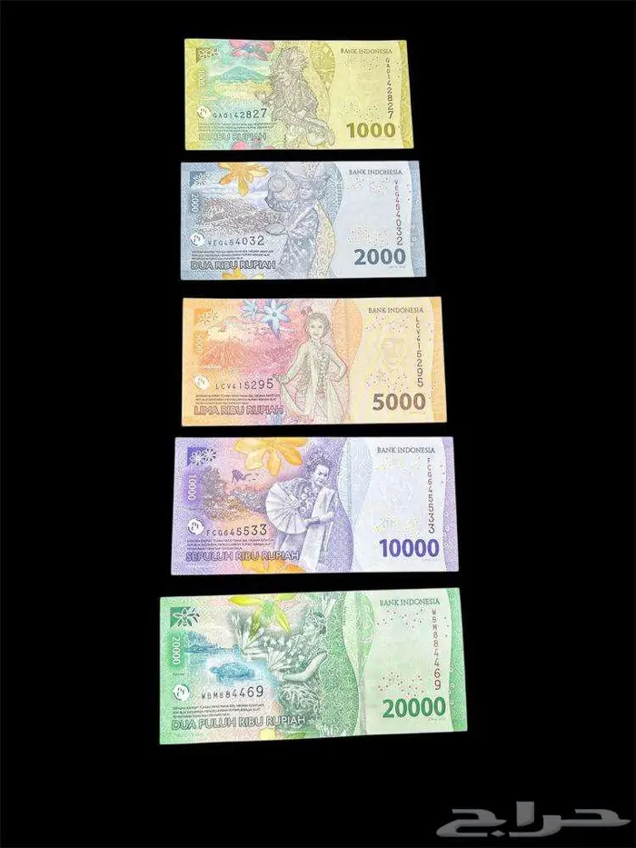 عملات ورقية للهواة والمحترفين والمتاحف والمقاهي الشعبية 25