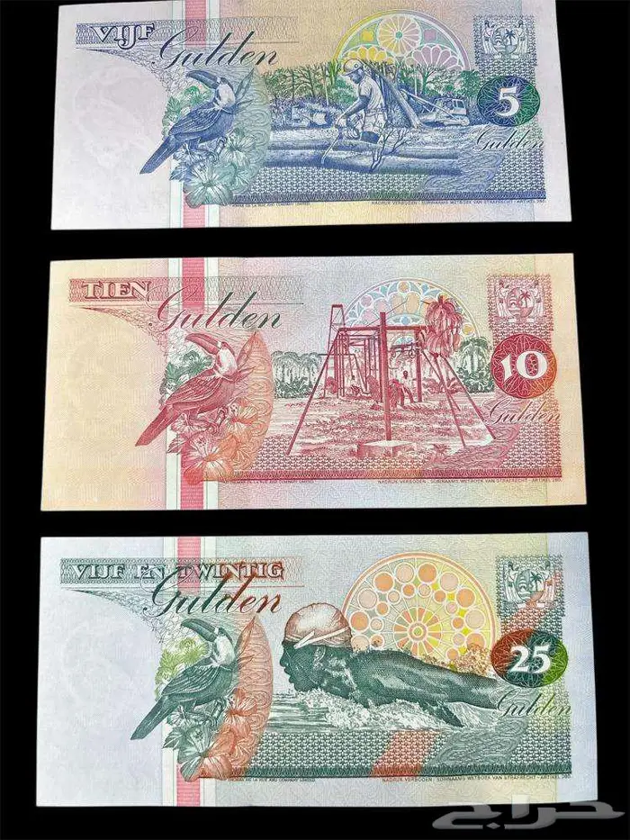 عملات ورقية للهواة والمحترفين والمتاحف والمقاهي الشعبية 28