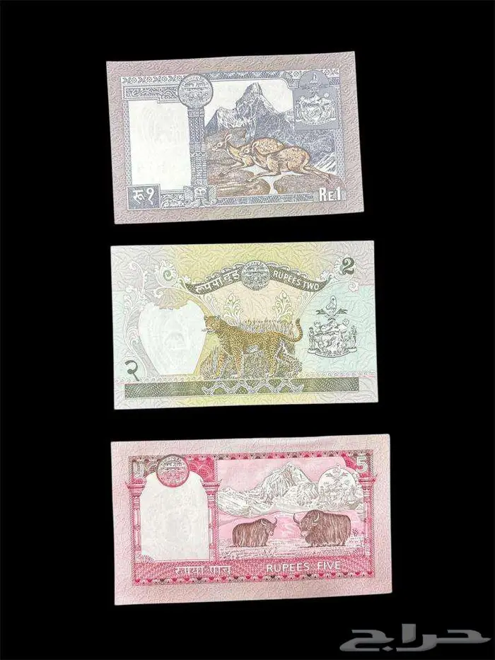 عملات ورقية للهواة والمحترفين والمتاحف والمقاهي الشعبية 50