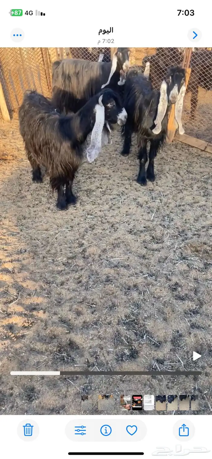 عوارض 3 1