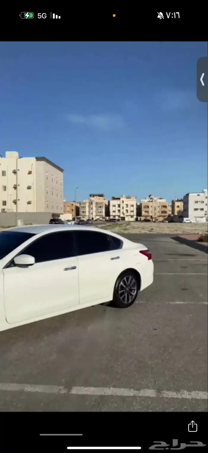 التيماء 2017 3