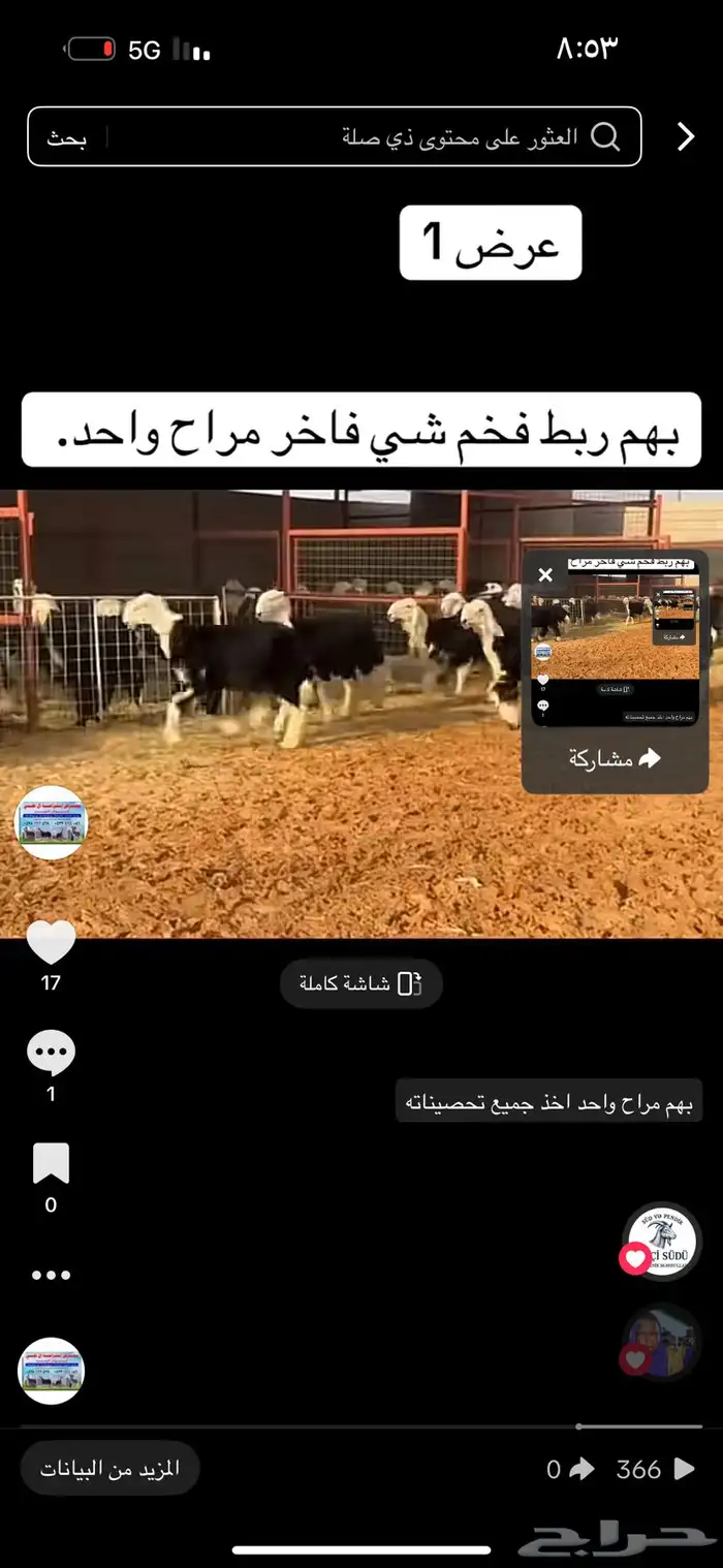 عرض بيع طليان نجد 4