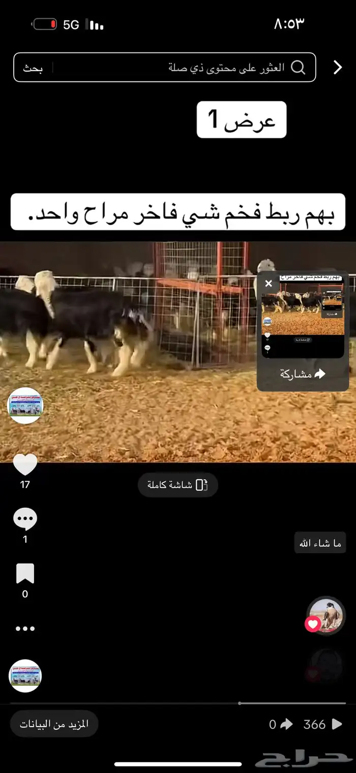 عرض بيع طليان نجد 0