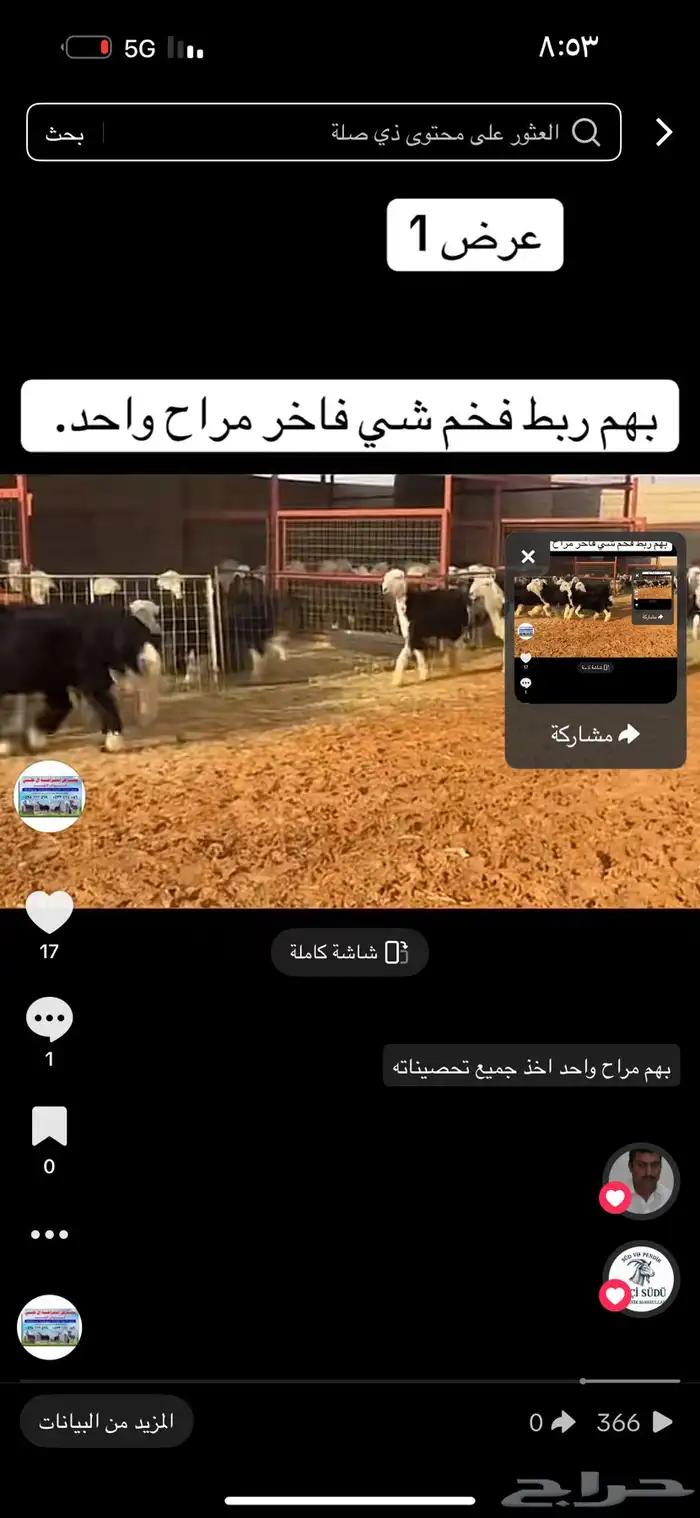 عرض بيع طليان نجد 5