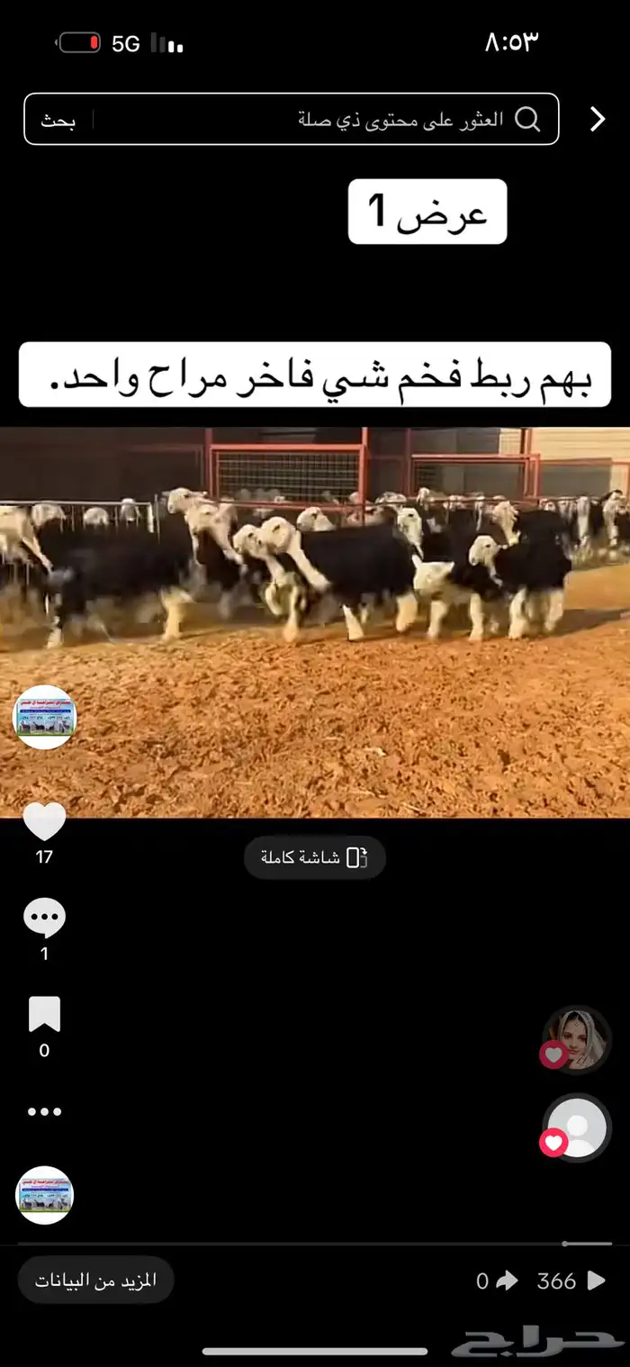 عرض بيع طليان نجد 7