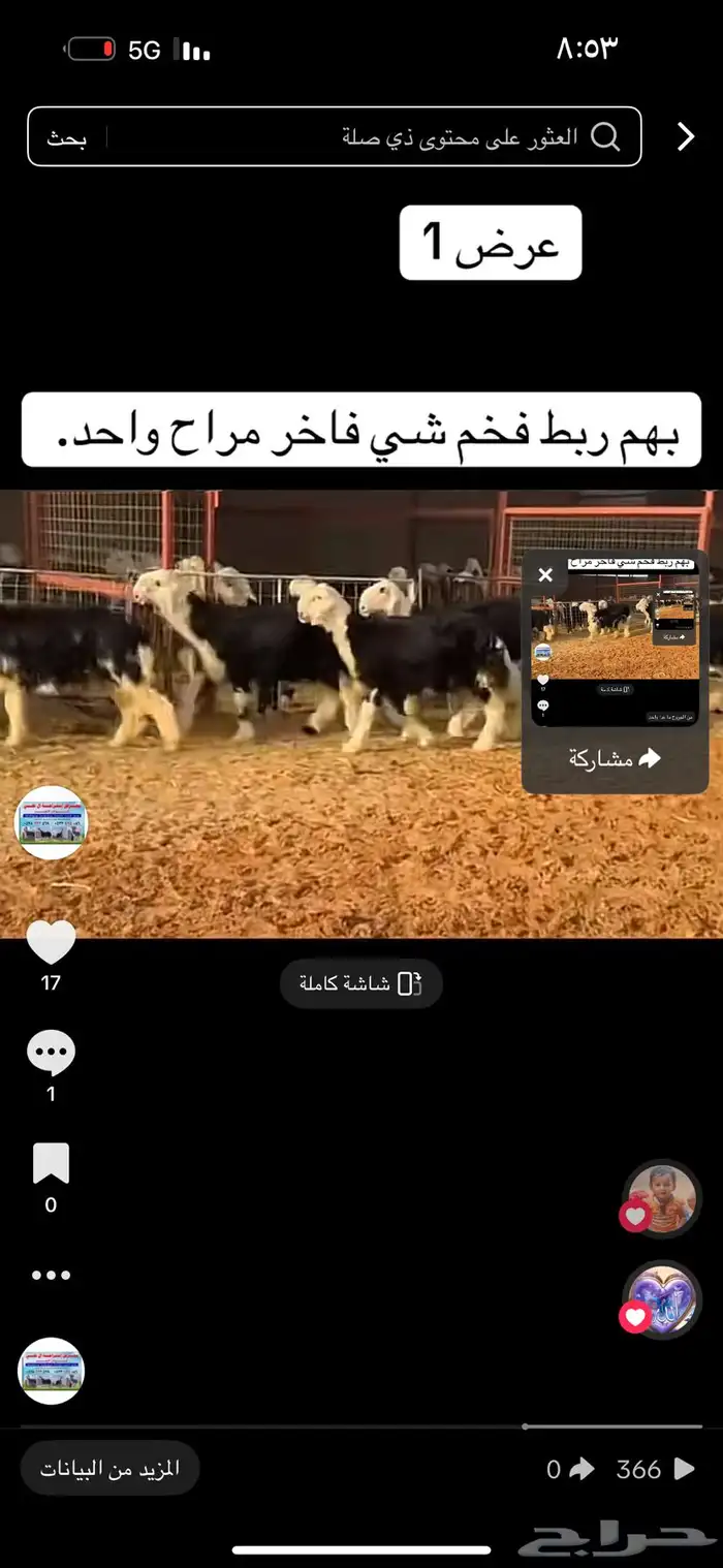 عرض بيع طليان نجد 1