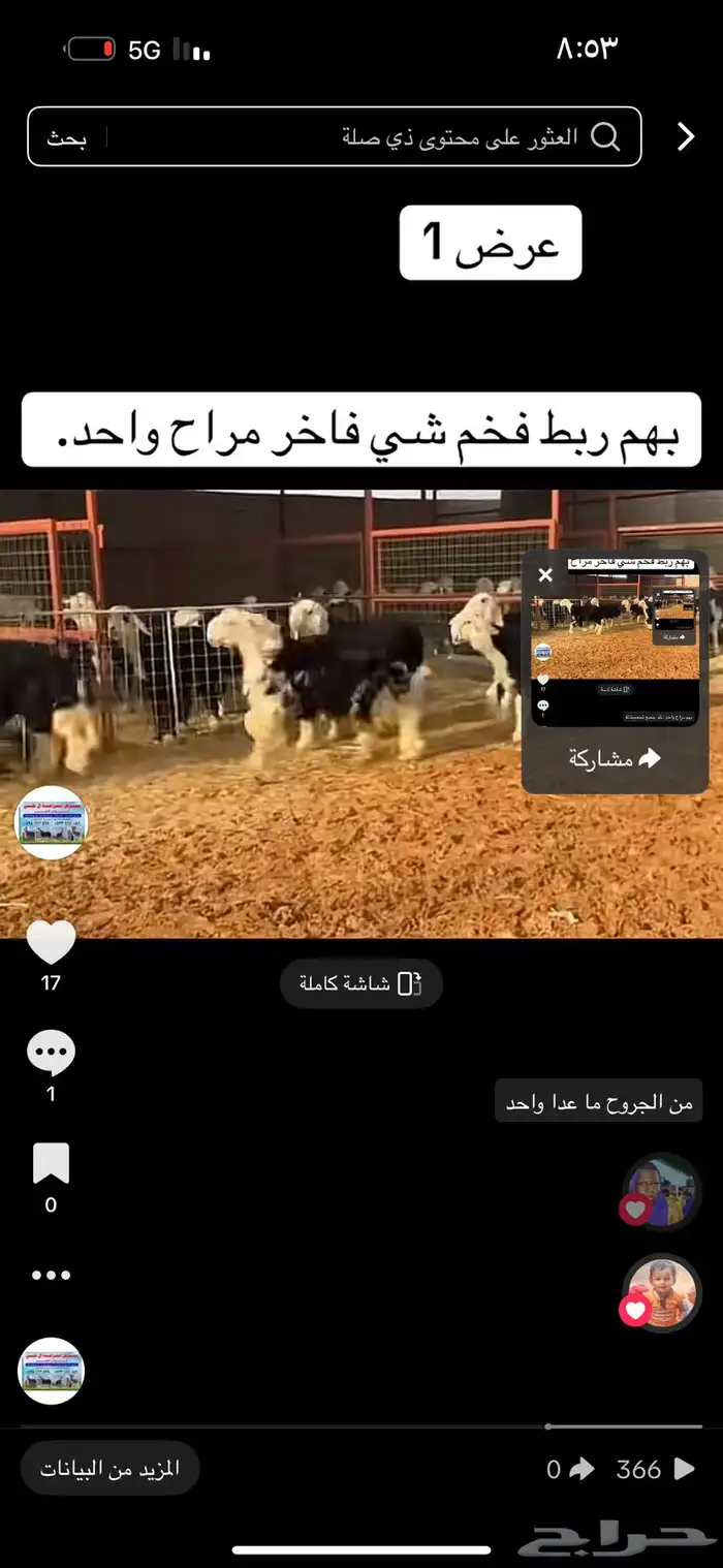 عرض بيع طليان نجد 2