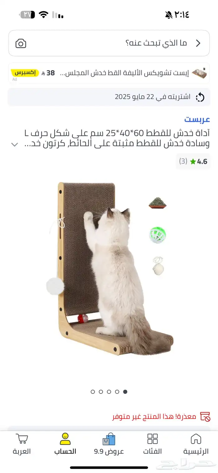 احتياجات القطط 1