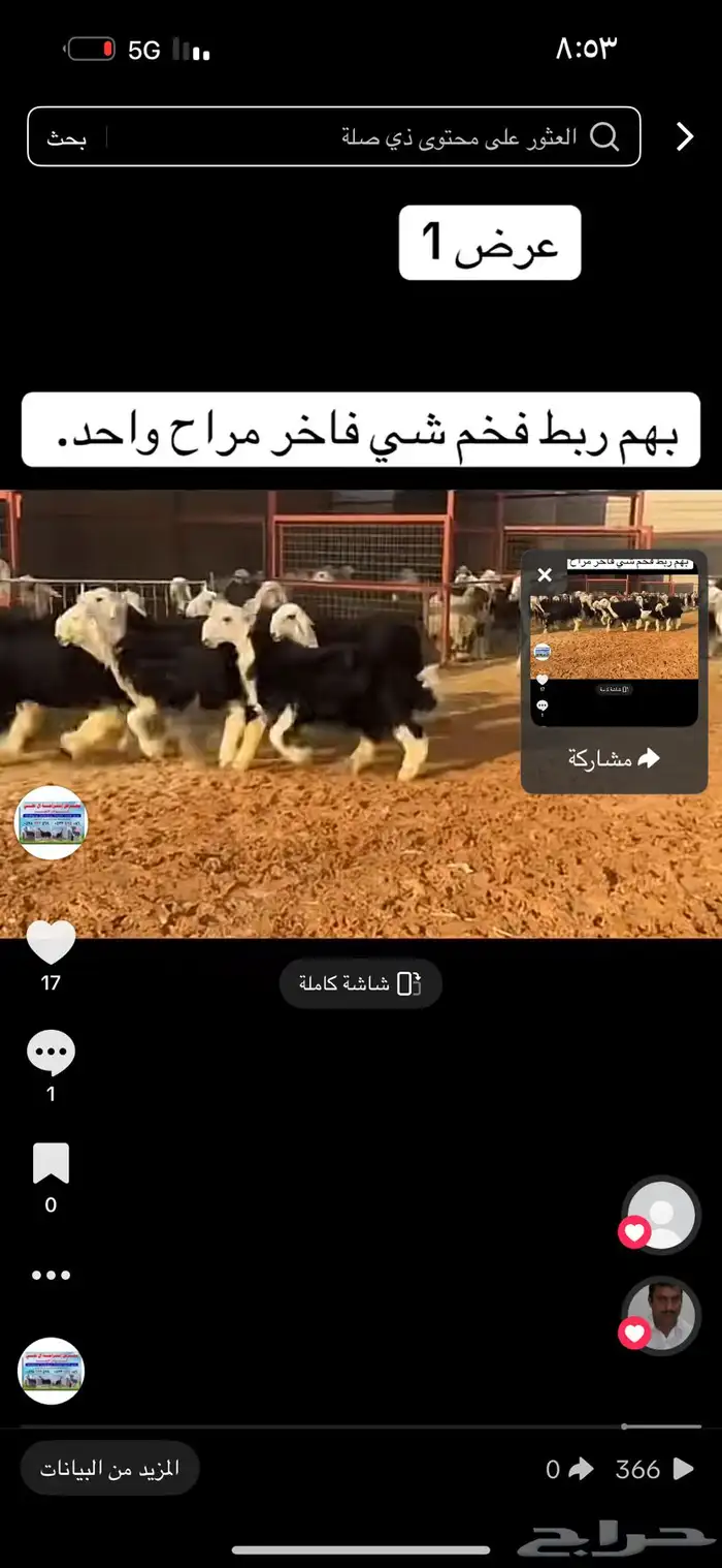 عرض بيع طليان نجد 6