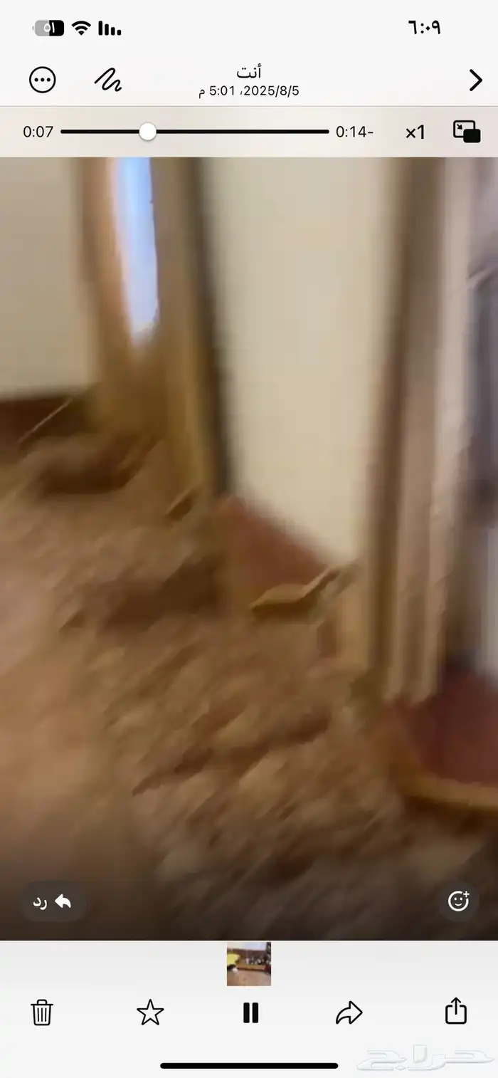 اثاث مشب كامل مساند ودلال وموكيت 4