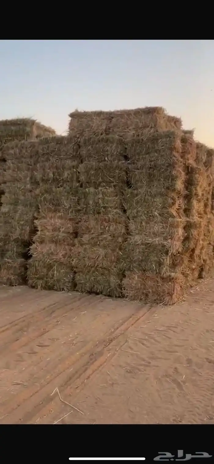 ذره طيبه شد من 80 الي 85 0