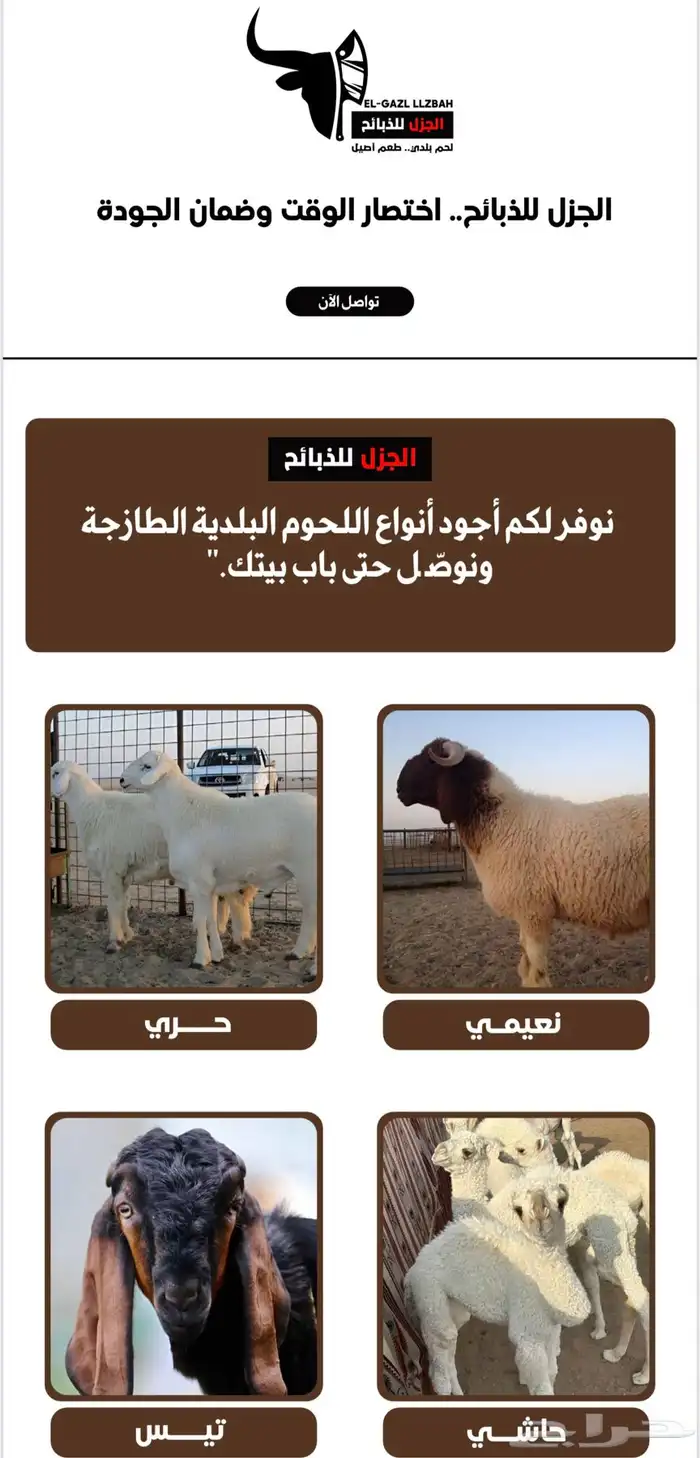 متجر جزل لبيع الذبائح 0