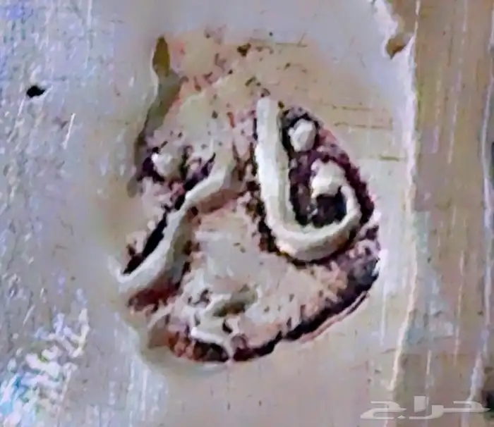 دلال رسلان . عمل الفايز وسليم الاشبه 10