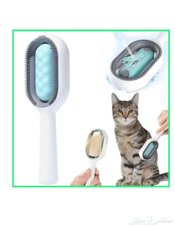 احتياجات القطط 6