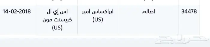 فرس أصيلة بيور مصري 11