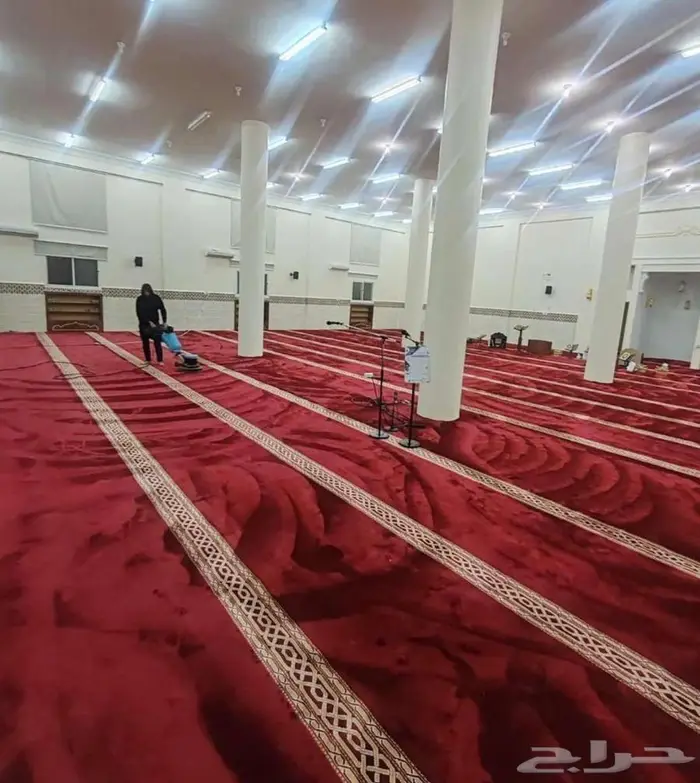 شركة تنظيف خزانات منازل وشقق مجالس فرش مكافحة حشرات 3