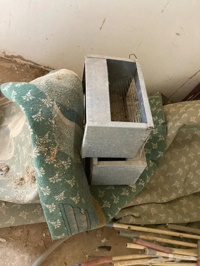 بطاريات أرانب بحالتها 5