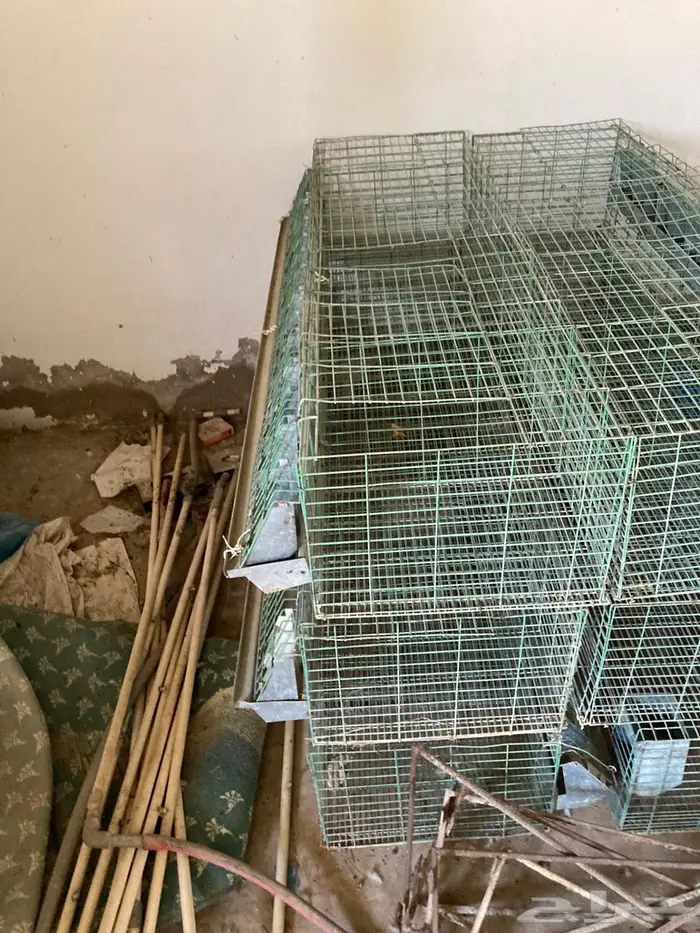 بطاريات أرانب بحالتها 7