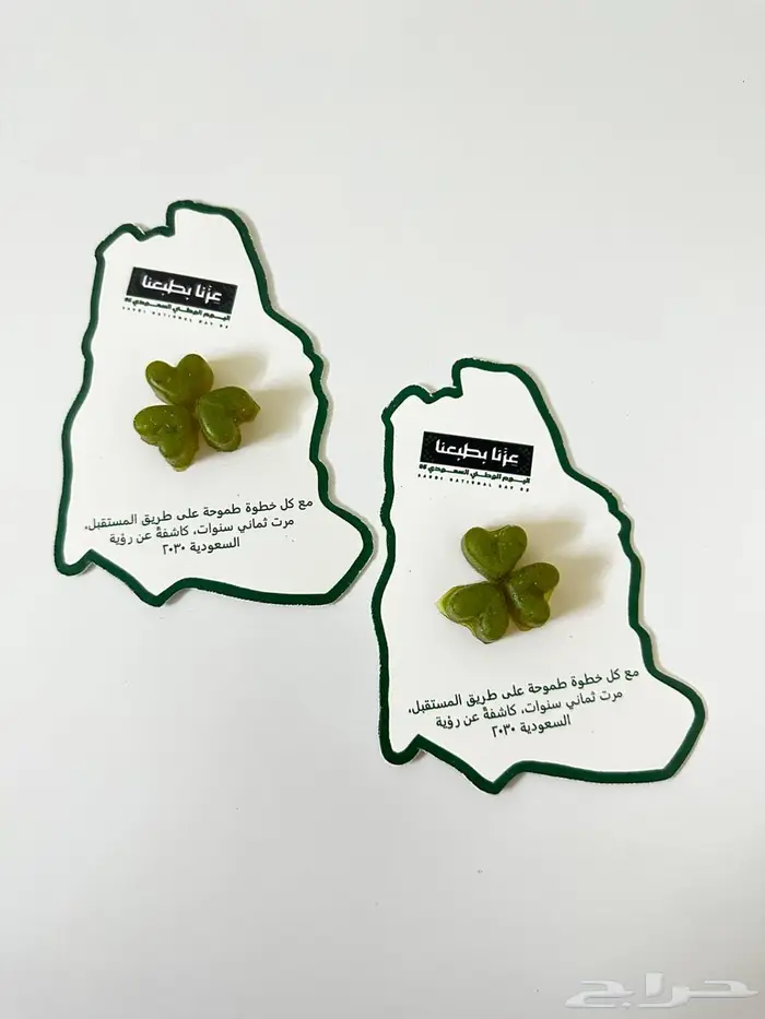 توزيعات اليوم الوطني 11