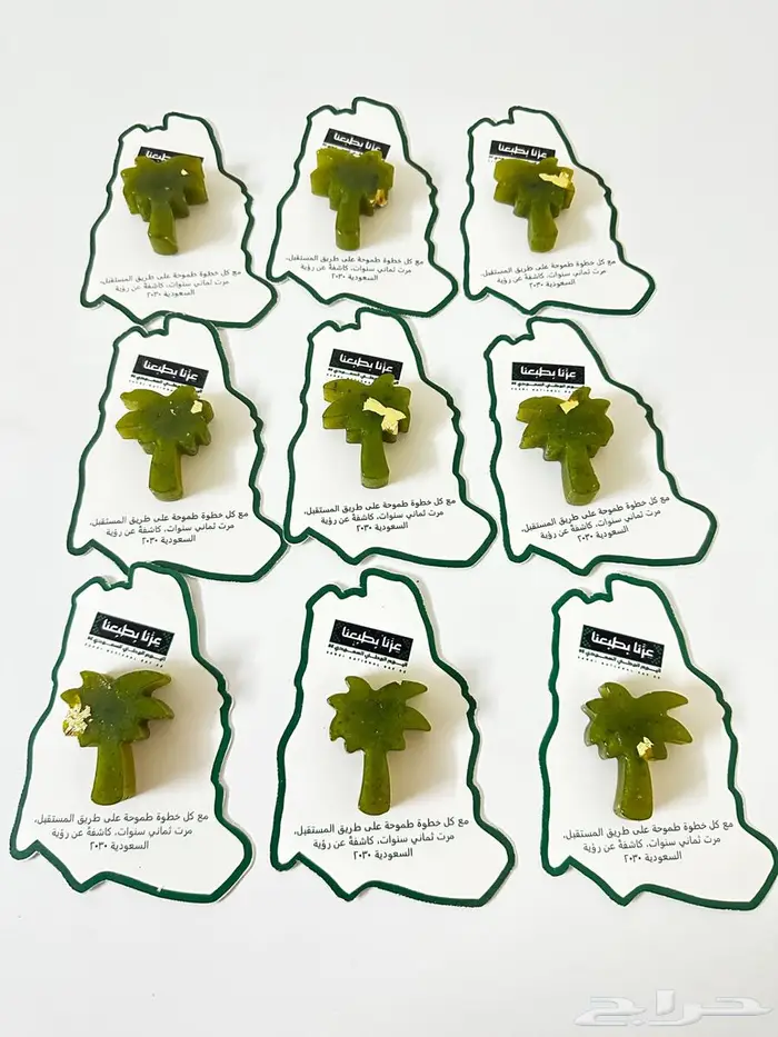 توزيعات اليوم الوطني 12