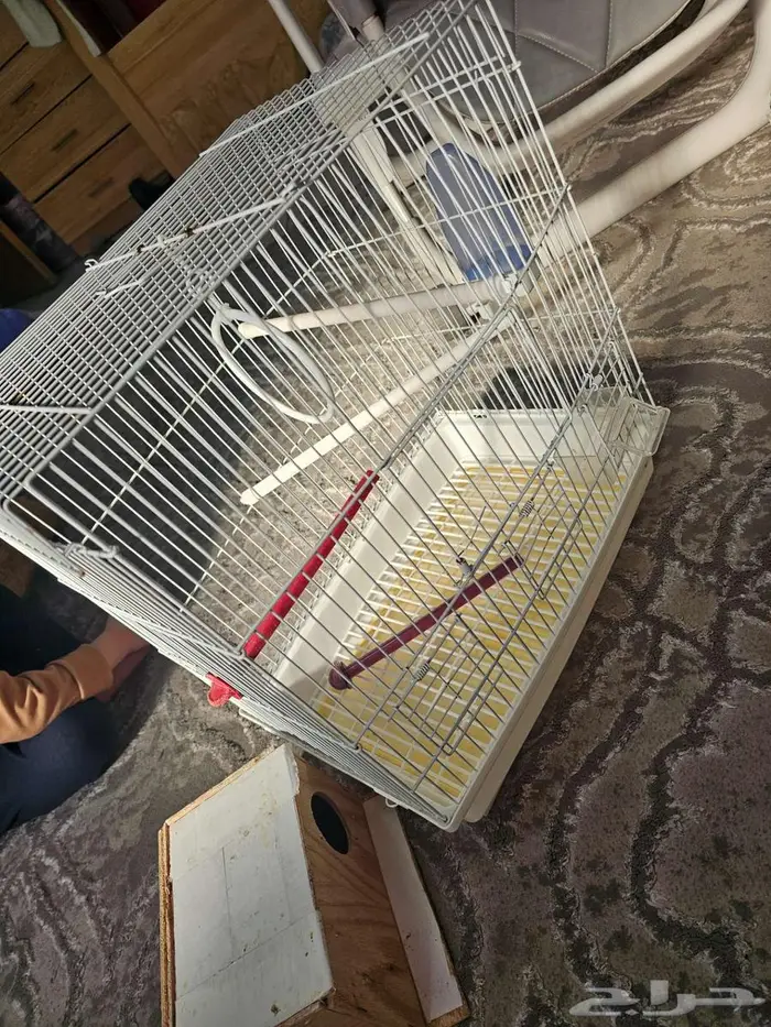 قفص طيور كبير مع ملحقاته 2