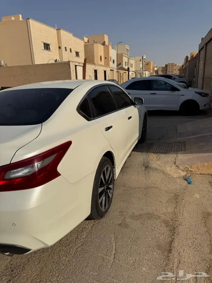 التيماء 2018 7