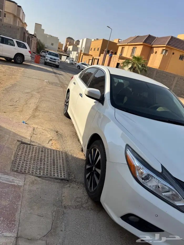 التيماء 2018 5