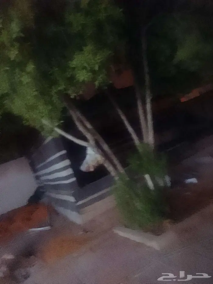 خيمه جديد للبيع 9