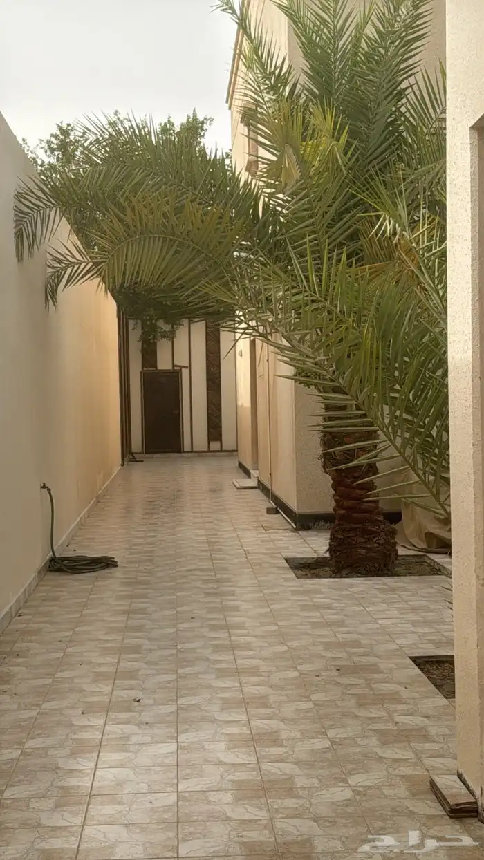 بيت للبيع في حي الاحساء الجنوبية 612م صك حر جاهز للسكن 2