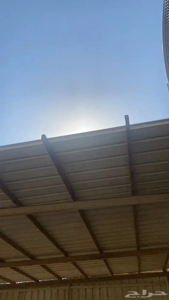 شينكو 1