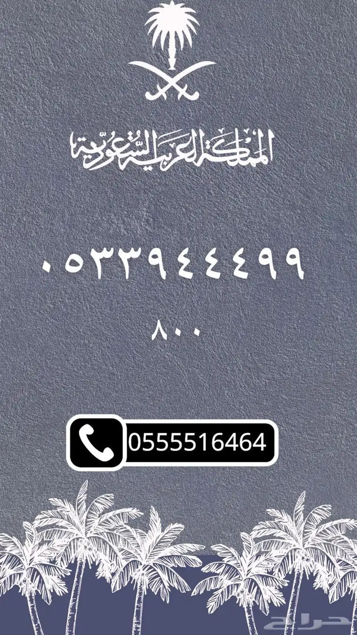 ارقام مميزه والنقل فوري 6