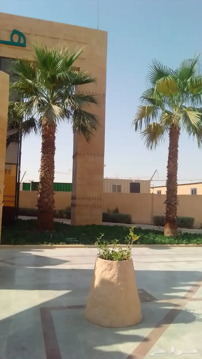 شغل النخيل كل ما يلزم من تكريب وتحويض وتنضيف وغرس فصايل 0
