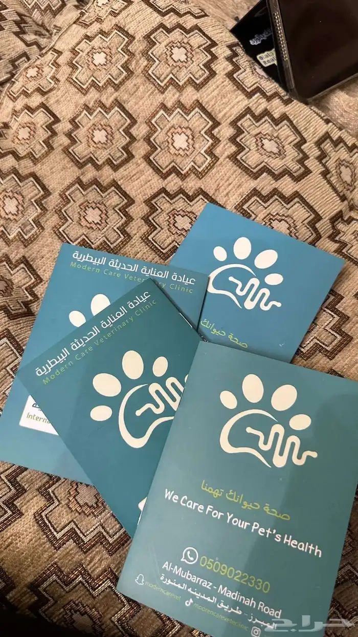 قطين للبيع مع كروت تطعيم 1