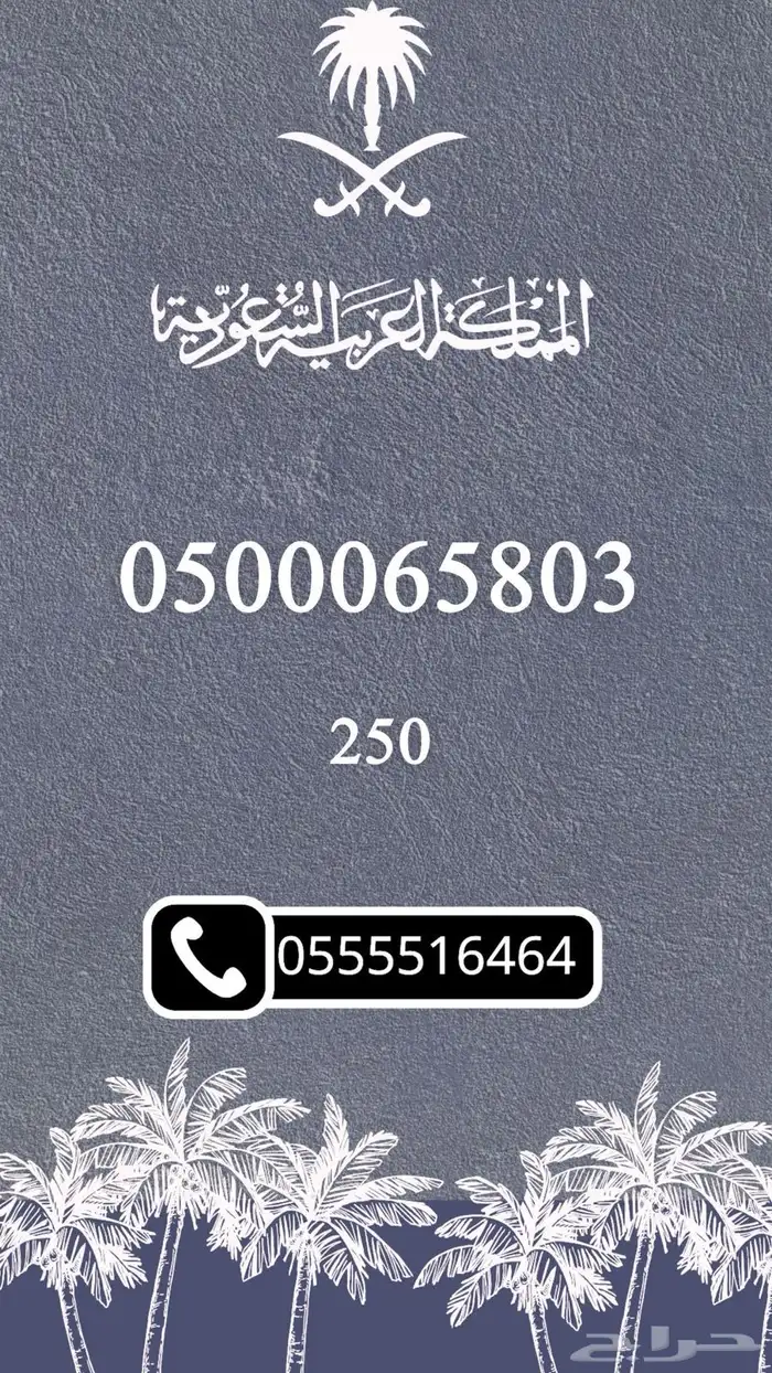 ارقام مميزه والنقل فوري 10