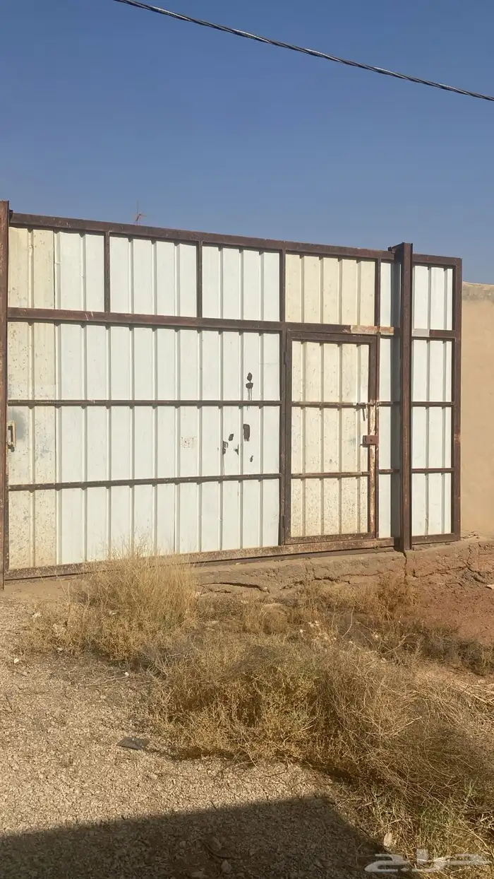 شينكو 0