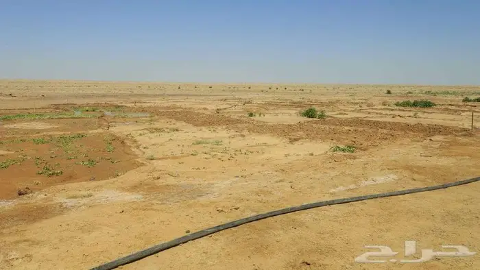 مزرعة للبيع بالشنان شرق مدينة حائل 1