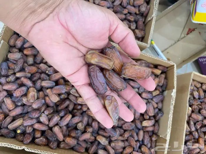 تمر براني طيب 0