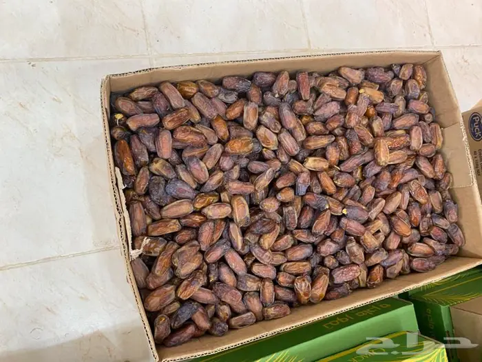 تمر براني طيب 1