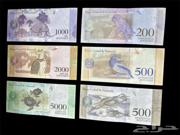 عملات ورقية للهواة والمحترفين والمتاحف والمقاهي الشعبية 61