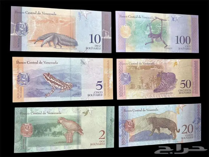 عملات ورقية للهواة والمحترفين والمتاحف والمقاهي الشعبية 72