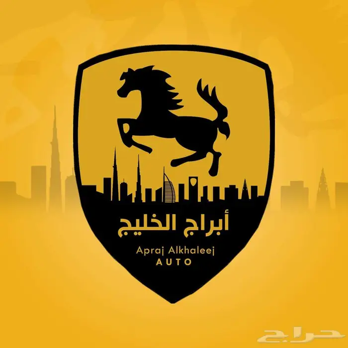 هيونداي توسان 2.0 دبل موديل 2024 12
