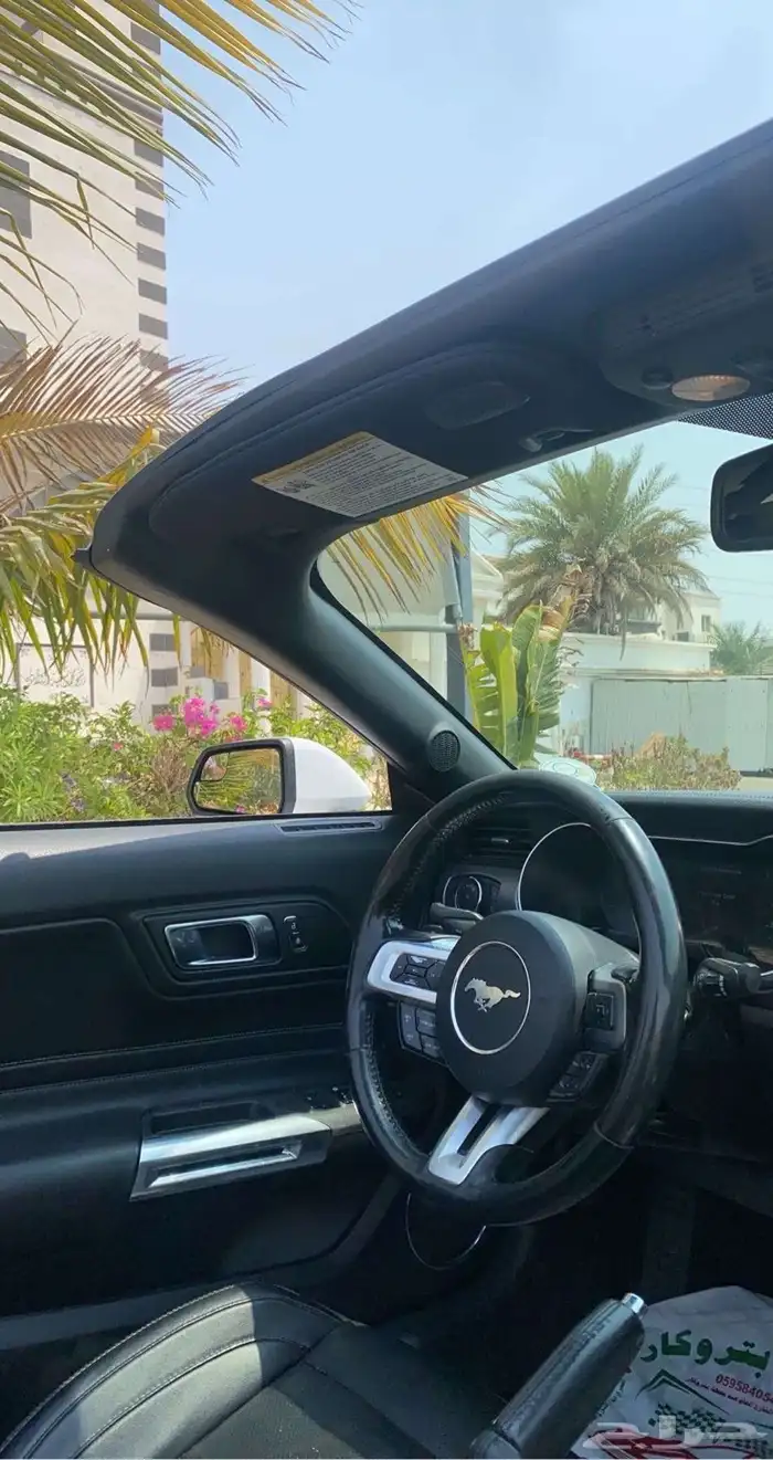 موستنج كشف 2018 4