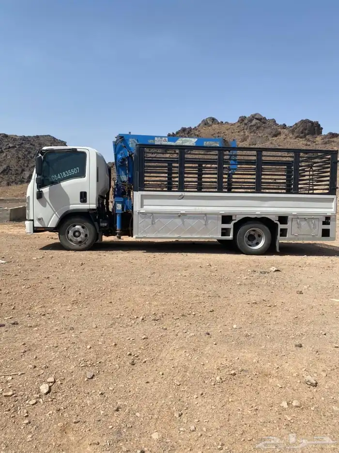 للبيع دينا2024 2