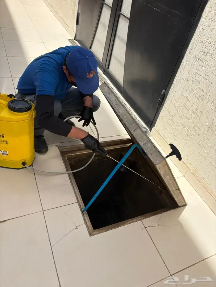 مكافحة حشرات ونظافة عامة 6